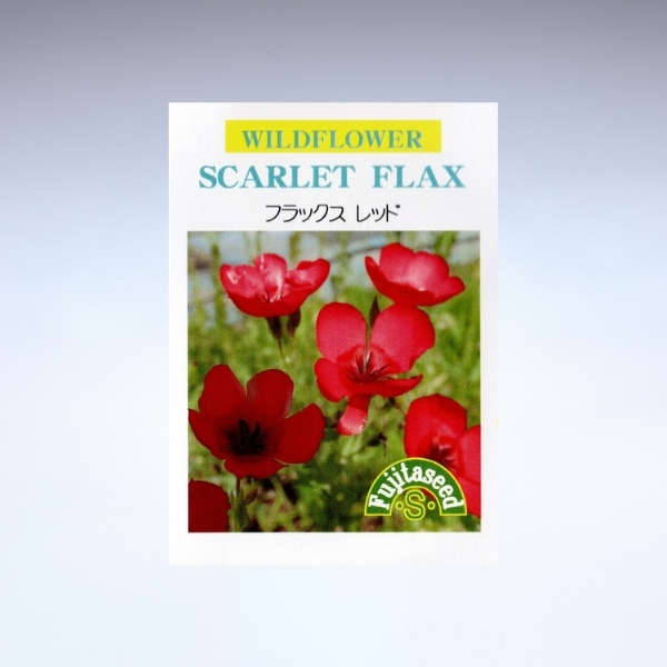 園芸用 亜麻の種<br>フラックス・レッド(一年草)