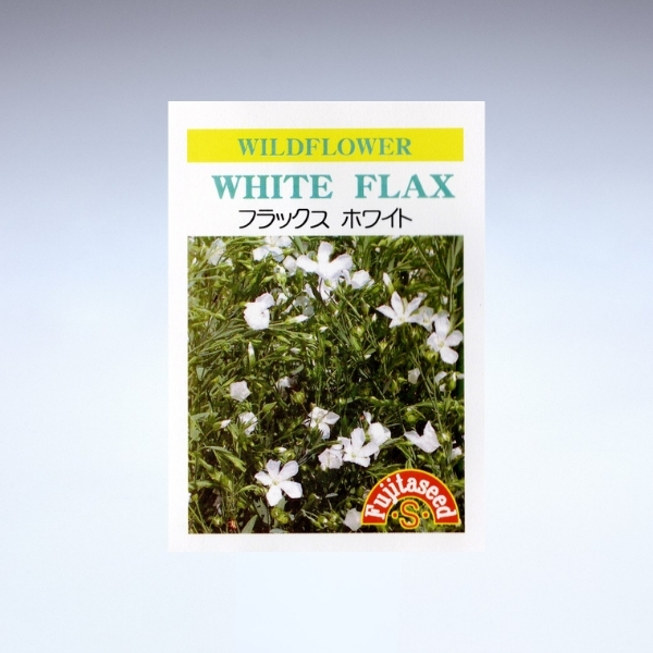 園芸用 亜麻の種<br>フラックス・ホワイト(一年草)