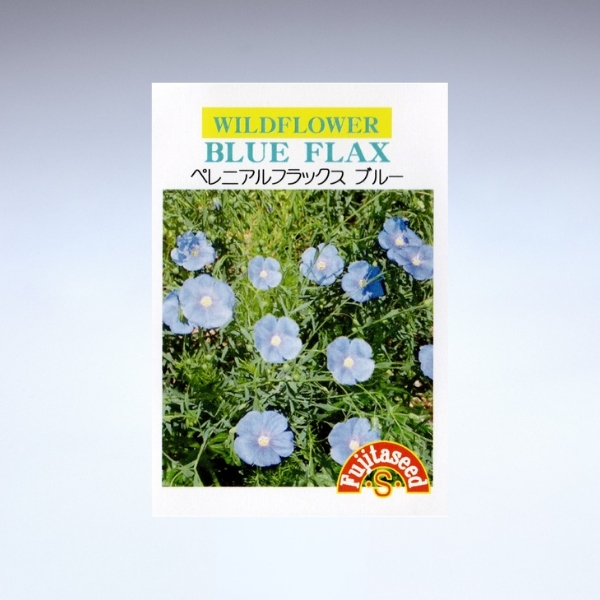 園芸用 亜麻の種<br>ペレニアルフラックス ブルー(宿根草)