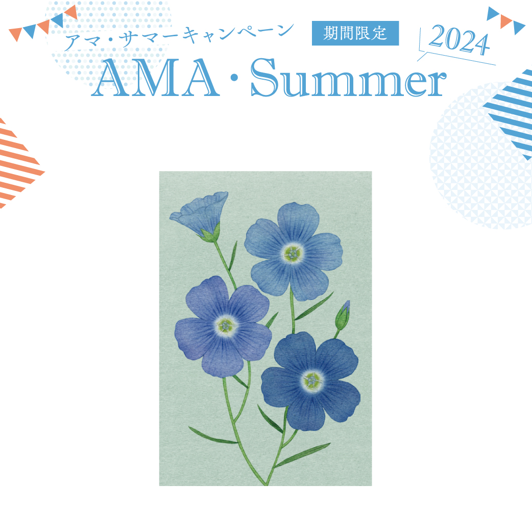 亜麻のイラストポストカード<br>亜麻の花②