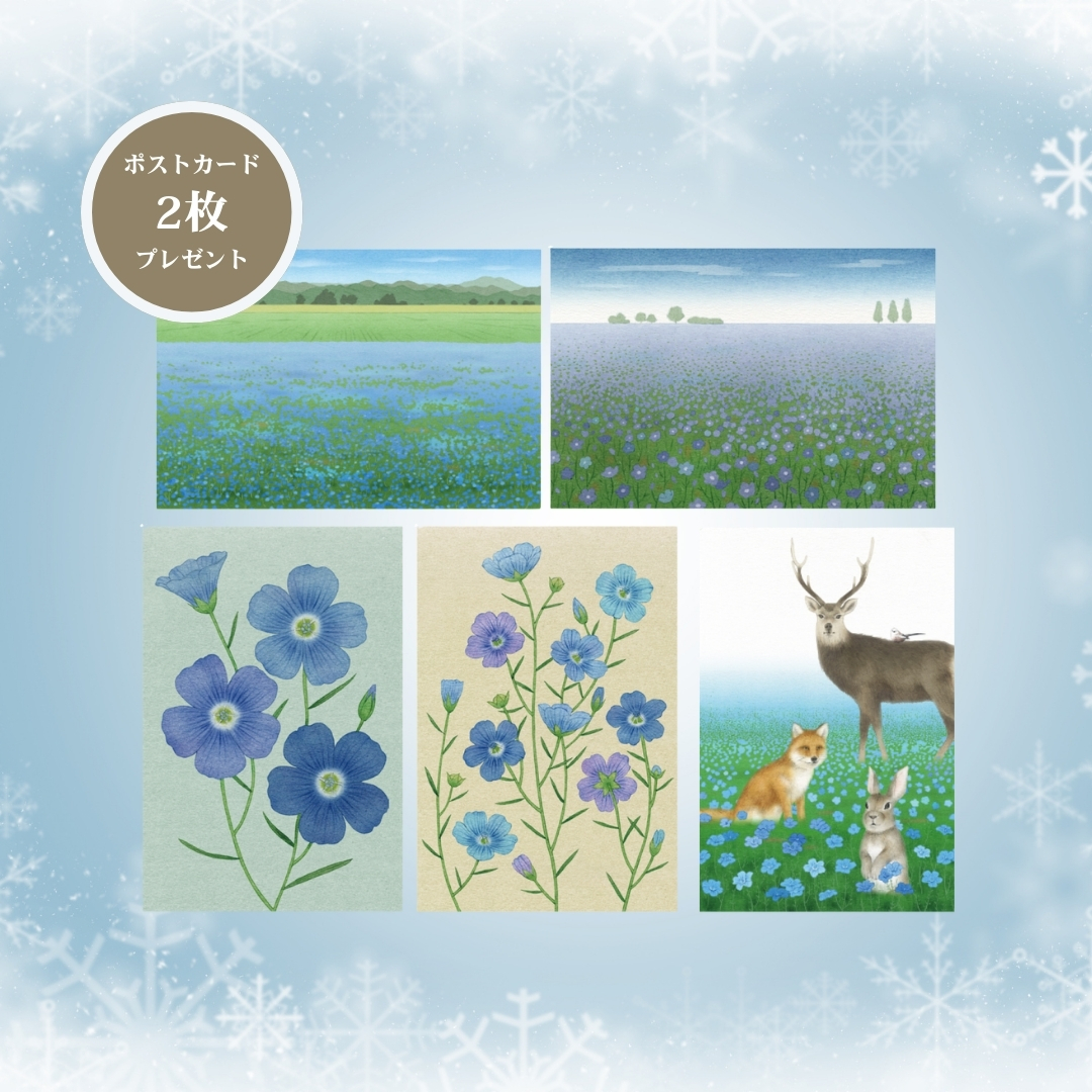 〈期間限定〉亜麻仁油ドレッシングギフトセット