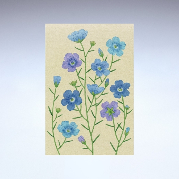 亜麻ポストカード<br>亜麻の花①(ホセ・フランキー作)