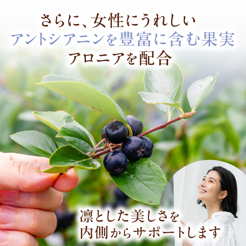 北海道産 亜麻美人サプリメント 180粒<br>（約30日分）